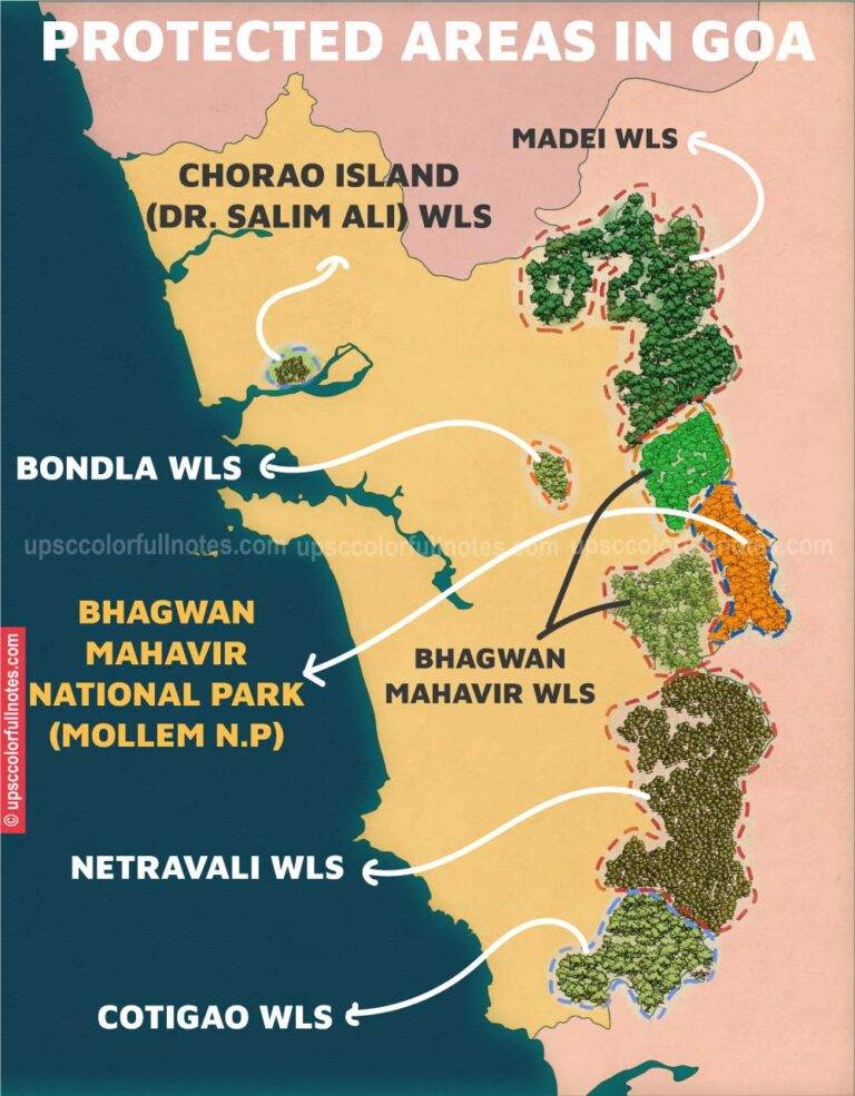 mollem national park