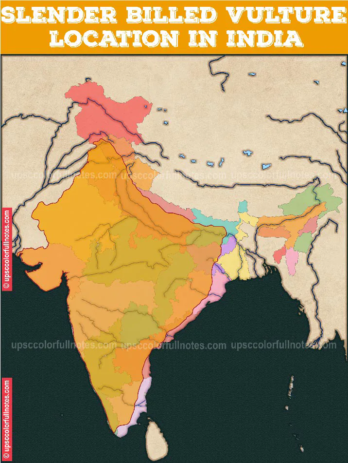 Vulture population in India map 1