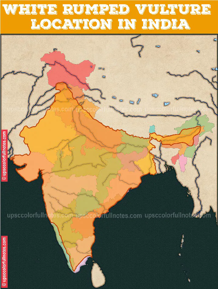Vulture population in India map 2