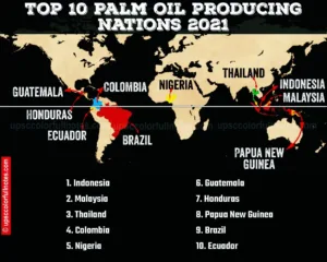 top palm oil producing nations