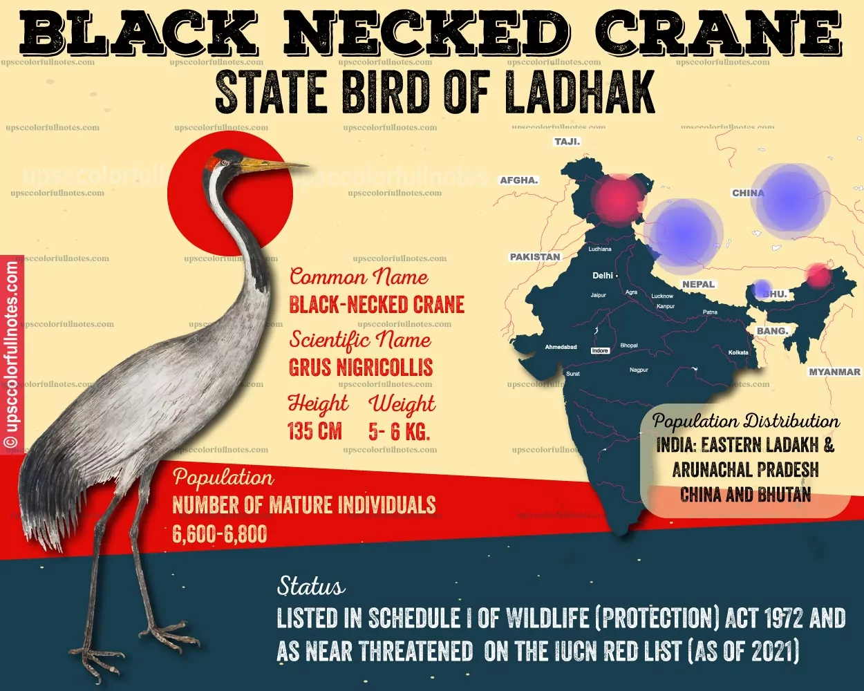 black necked crane