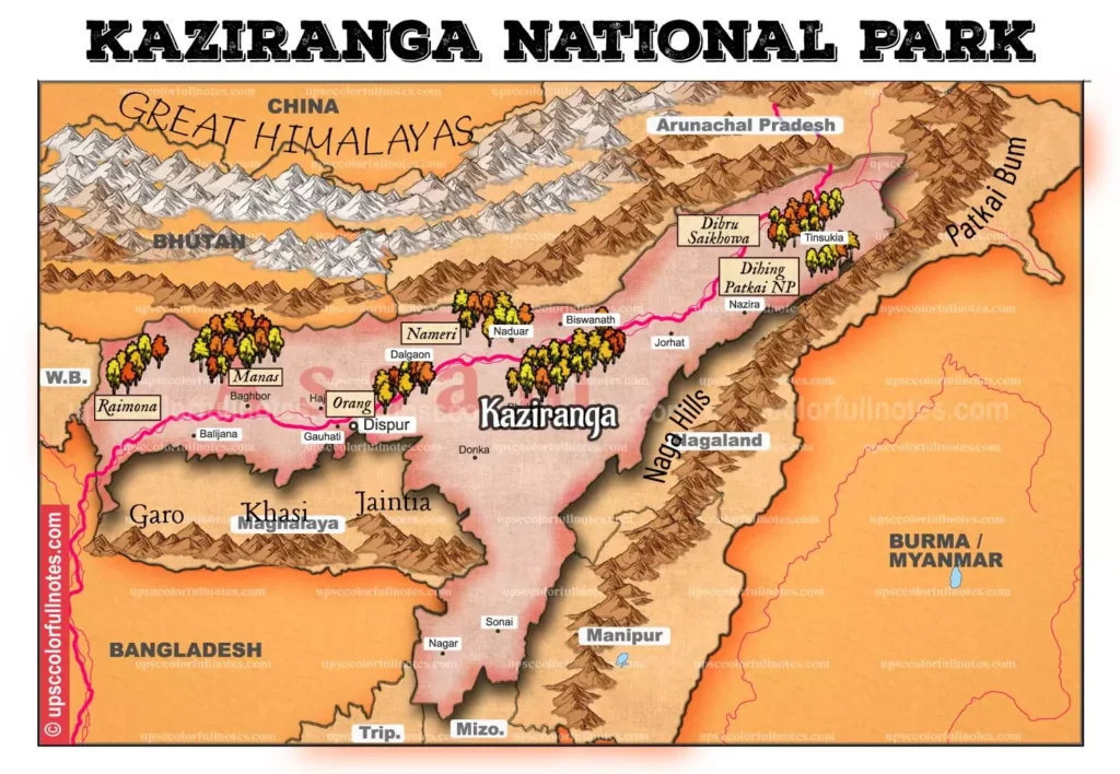 Kaziranga National Park