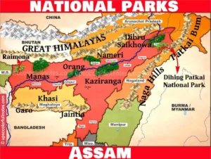 national park in assam