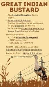 Great Indian Bustard