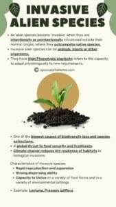 Invasive Alien Species