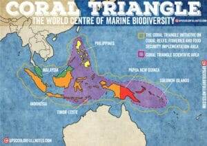 coral triangle