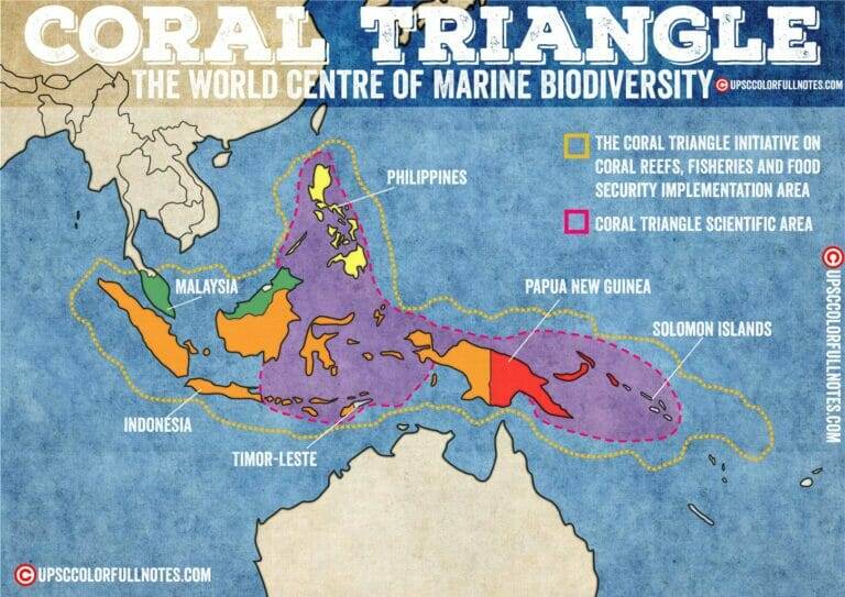 coral triangle