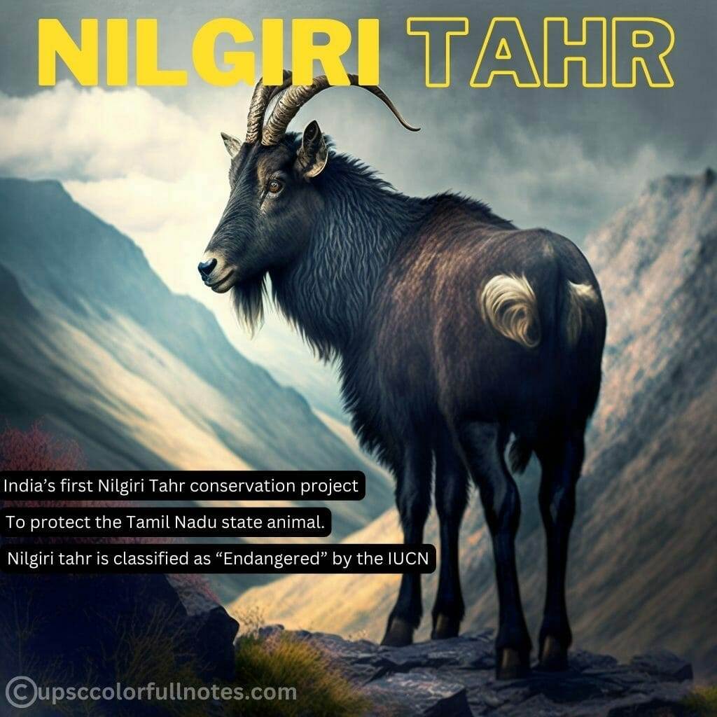 Nilgiri Tahr conservation project