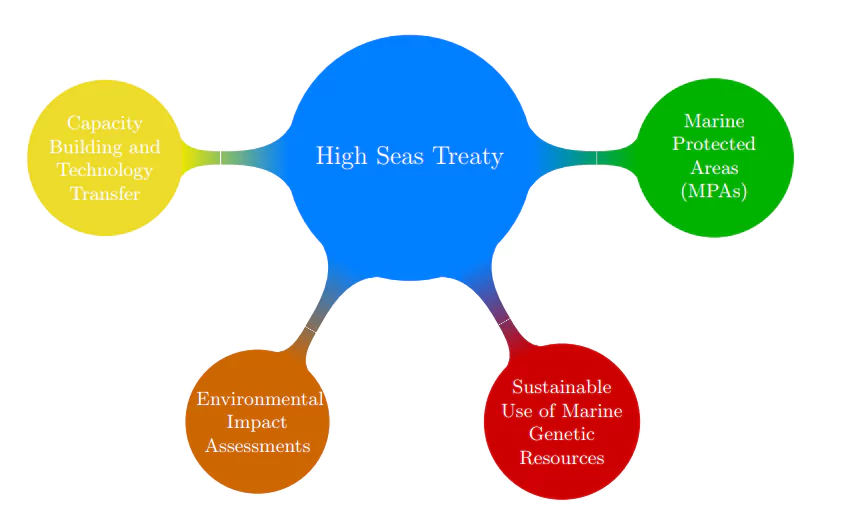 High Seas Treaty