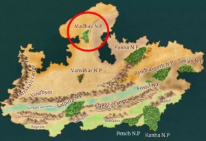 Madhav National park