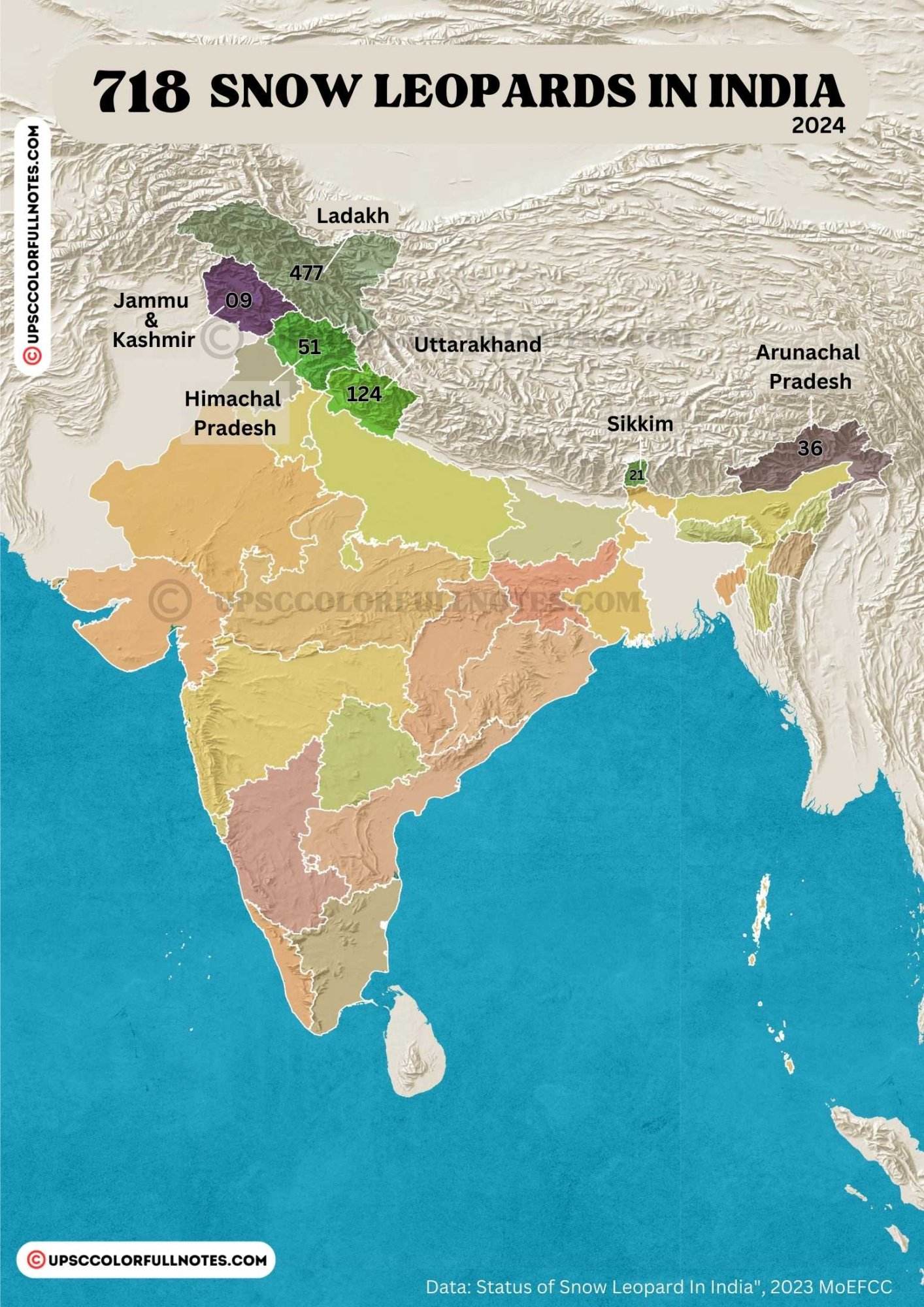 snow leopard in india