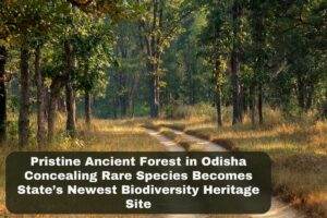 Gupteswar Forest in Odisha becomes Biodiversity Heritage Site