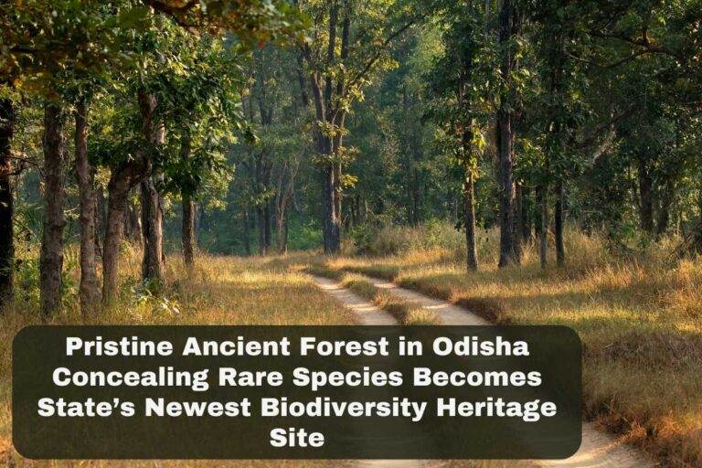 Gupteswar Forest in Odisha becomes Biodiversity Heritage Site