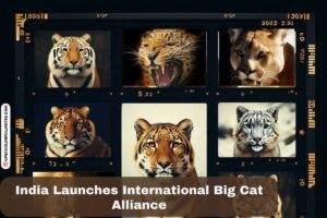 India Launches International Big Cat Alliance